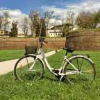 Lucca: Alquiler de un día de bicicleta urbana
