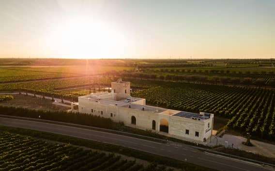Bodega Torleanzi en Torre San Gennaro: masseria y cata