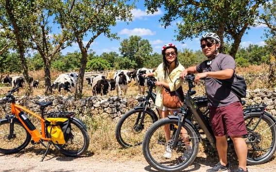 Puglia: E-bike avontuur en Primitivo wijnproeverij