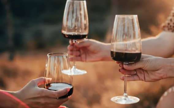 Oltrepò Pavese: degustación de 4 vinos con cata y visita a la bodega