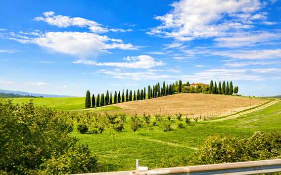 Tour del vino por el Val d'Orcia desde Siena con Brunello