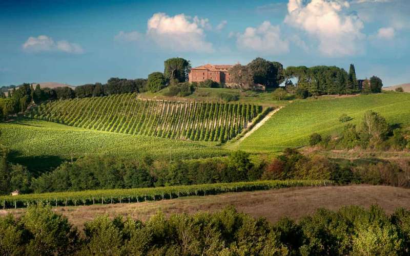 Montalcino: Brunello-borkóstoló élmény