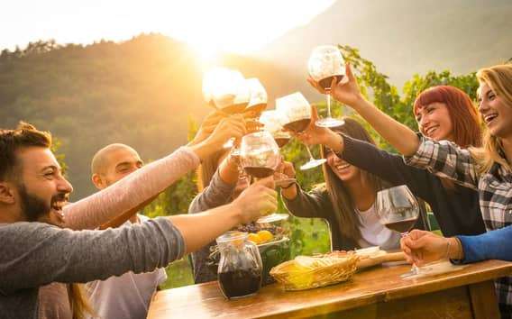Tour delle cantine e degustazione di vini vicino a Parma