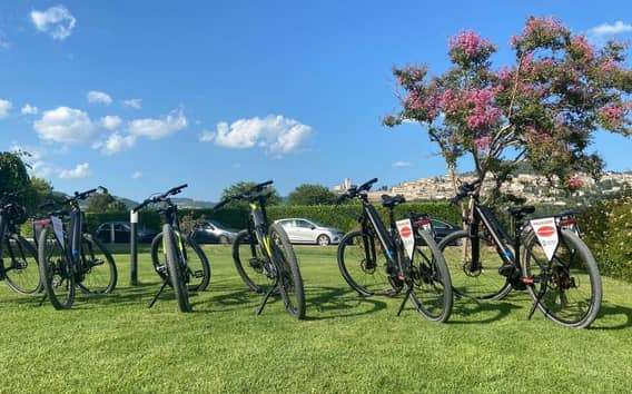 Assisi nach Spello Fahrrad & Wein Tour