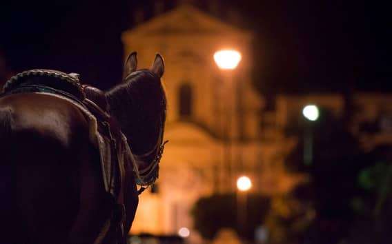 Palermo kísérteties és bűnügyi sétatúra utcai ételekkel