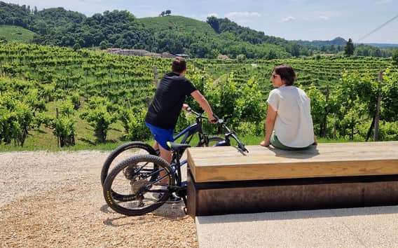 Tour en bici eléctrica por Valdobbiadene y el Prosecco