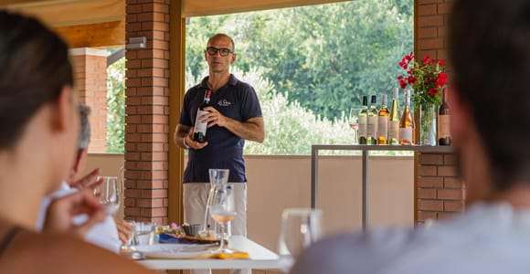 Bardolino: Vineyard Tour with Wine, Olive Oil & Food Tasting