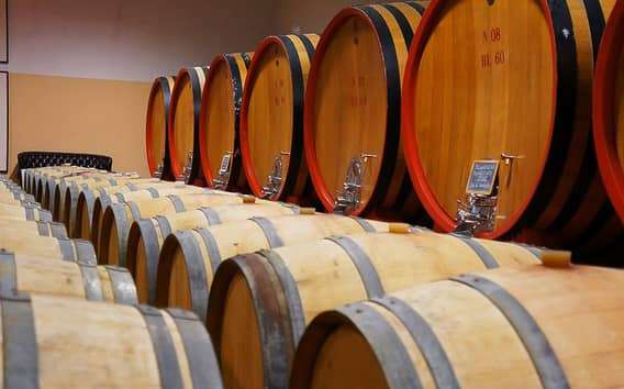 Tour del vino Brunello di Montalcino desde Siena