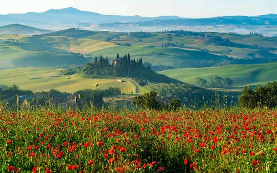 Rome: Tuscany & Montepulciano Day Trip with Lunch & Wines