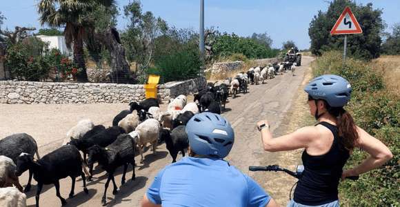 Lecce: Excursión en E-Bike a Galatina con degustación de Almazara y Vino