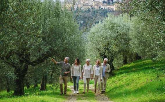 Olivenölverkostung und geführte Besichtigung der Ölmühle in Perugia