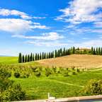 Tour del vino por el Val d'Orcia desde Siena con Brunello