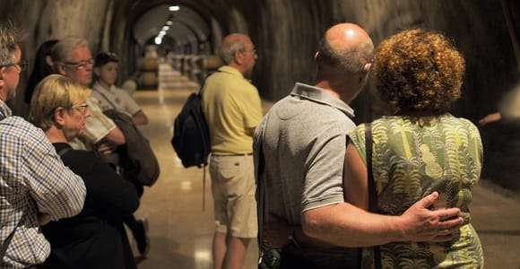 From Lake Garda: Valpolicella Wine & Lunch Guided Trip