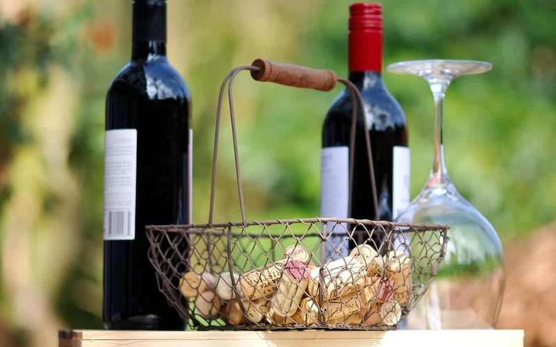 Cividale del Friuli and Collio Wine Tour from Trieste