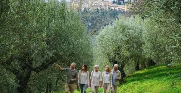 Degustazione di olio d'oliva e visita guidata al frantoio di Perugia