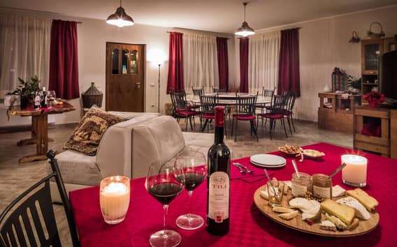Bio-Wein und Käse Verkostung in Assisi mit Weinbergbesuch