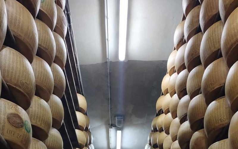 Parmigiano Reggiano sajtkészítő túra érlelt kóstolóval