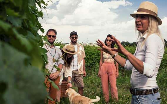 Wijnproeverij aan het Gardameer met wandeling door de wijngaard