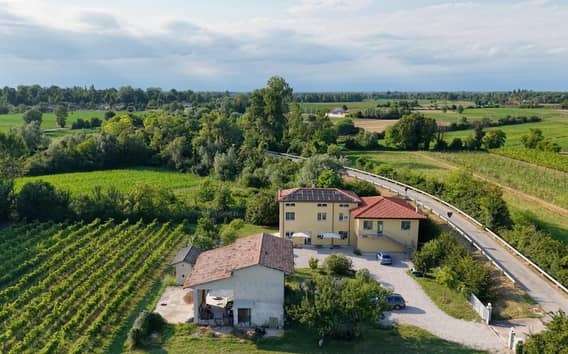 Portogruaro: Spaziergang im Weinberg und Verkostung mit Le Crede