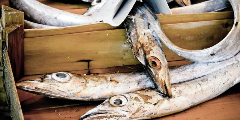 Pescheria Adriatica del Cencio