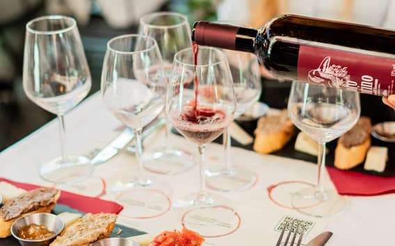 Pisa: Visita guiada a la Catedral y Cata de Vinos y Torre opcional