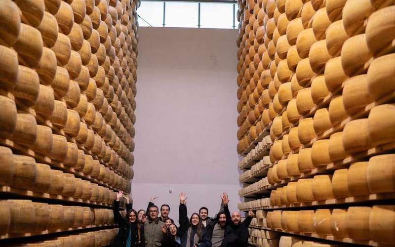 Parmigiano- és balzsamecet-túra Bolognából ebéddel