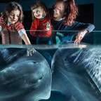 Biglietto Acquario di Cattolica: squali e pinguini