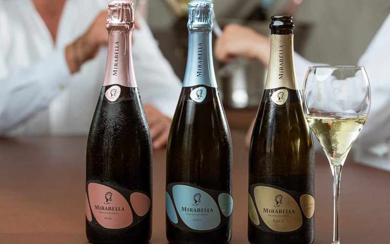 Franciacorta: Vineyard and Winery Tour with Tasting – Edea Tour