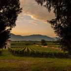 Franciacorta Winery Tour from Bergamo, Lunch and Minivan