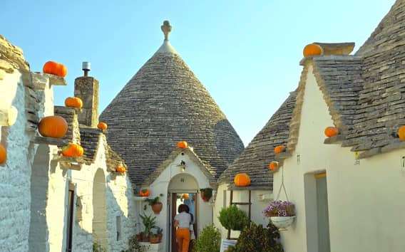 Excursión a Alberobello, Locorotondo y Ostuni con guía