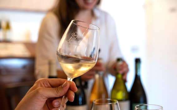 Villa Bogdano 1880: Guided Winery Tour and Tasting