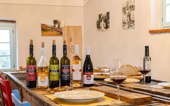 Degustace vína v Castiglion Fiorentino se sedmi víny