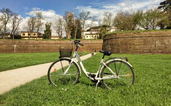 Lucca: Alquiler de un día de bicicleta urbana