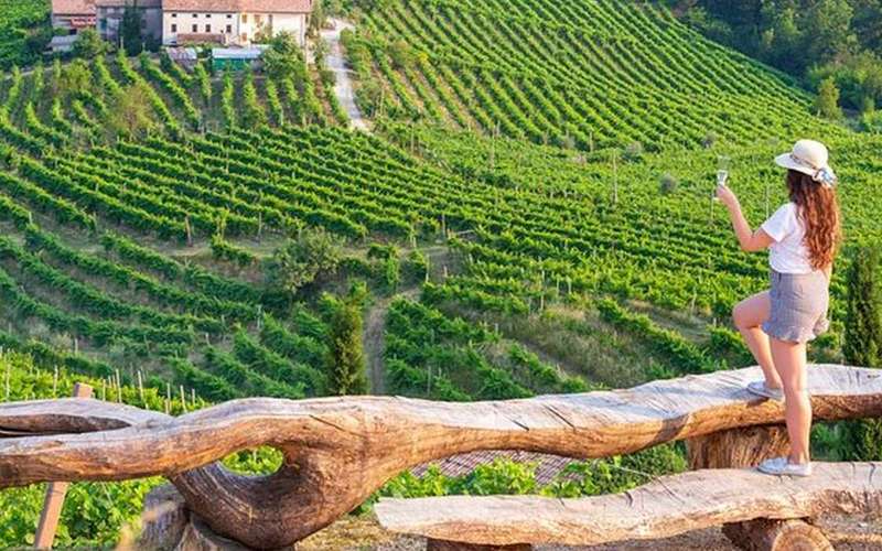 Prosecco-dombi borkóstoló túra: családi pincészet és 4 kóstoló