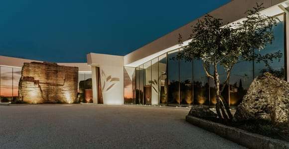 Salento: guided tour of the vineyard and cellar with wine tasting at Tenuta Liliana