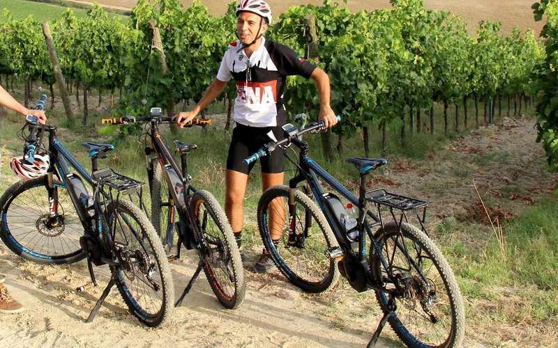 From Siena: Chianti Backroads E-Bike Tour with Lunch & Wine