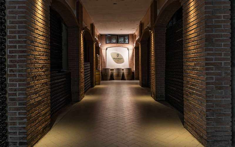Brescia: Franciacorta Wine Tasting in a Historical Winery