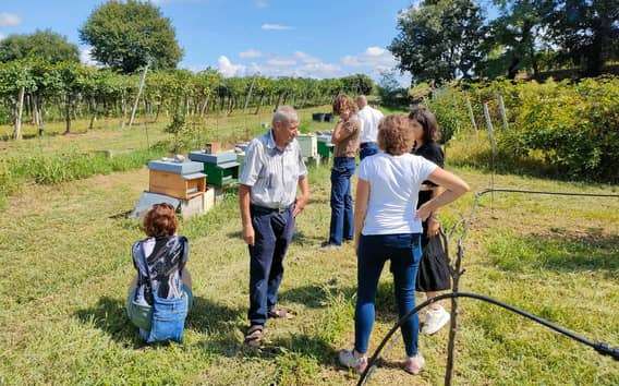 Lazise: Rondleiding door de imkerij en proeverij