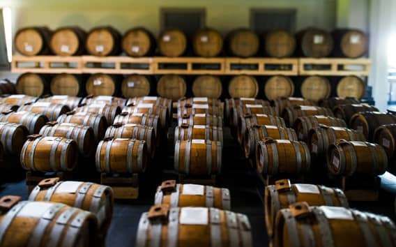 Visita in acetaia: aceto balsamico di Modena da Parma
