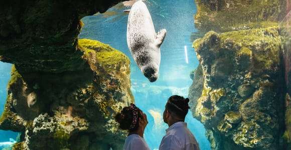 Acuario de Génova: ticket de acceso con franja horaria