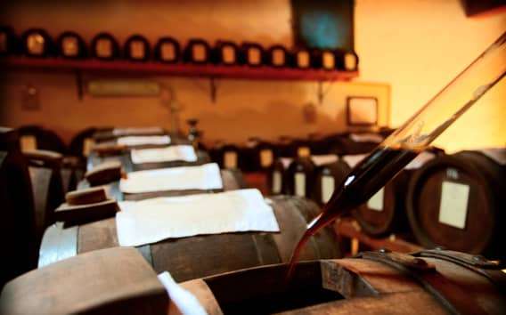 Modena:Tour&Verkostung von Bio & Traditionellem Balsamico-Essig DOP