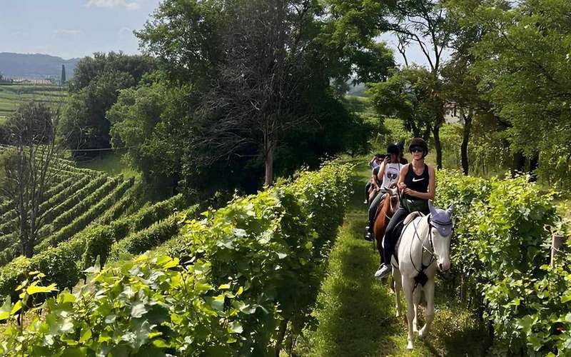 Lovaglás Franciacortában: szőlőültetvények és Berlucchi