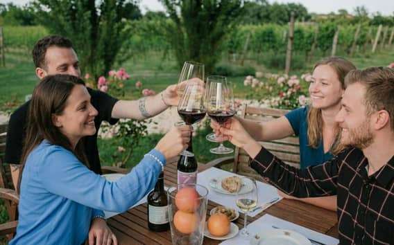 Bodega ecológica cerca de Urbino: cata de 6 vinos y aceite