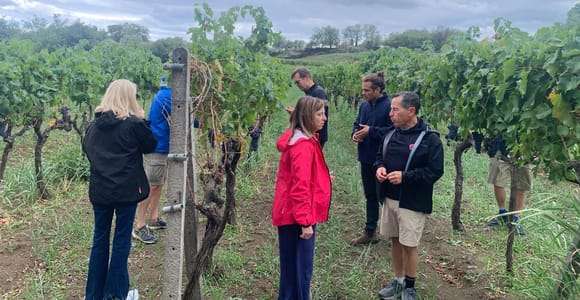 Dégustation de vin et visite de Taormine et Messine au départ de Messine