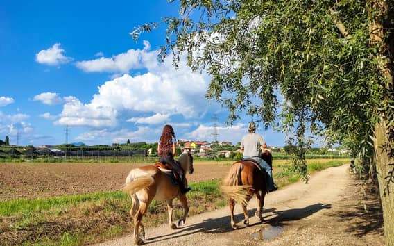 Paardrijden en picknick bij het Gardameer, met kaas en wijn