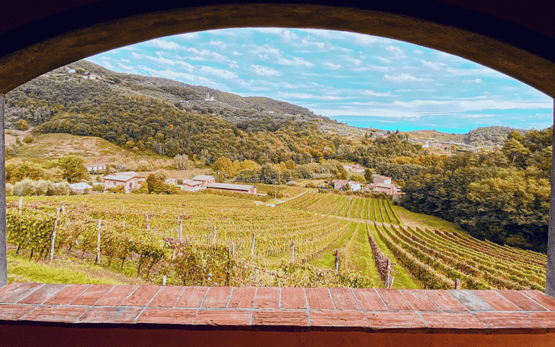 Weinverkostung bei Lucca auf dem Weingut Tenuta Adamo