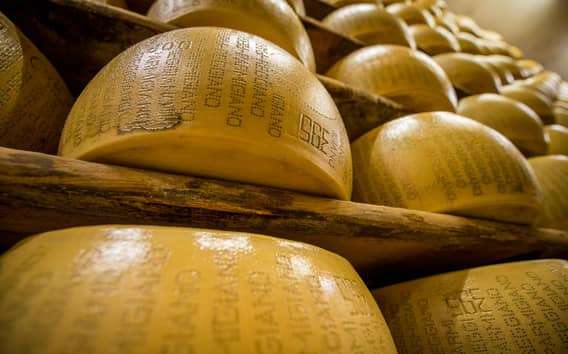 Parmigiano Reggiano Tour in Reggio Emilia mit Essigfabrik