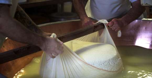 Parma: Guided tour of a dairy with tastings and a traditional lunch