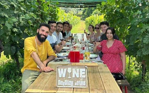 Cata en un Viñedo con traslado desde Lucca