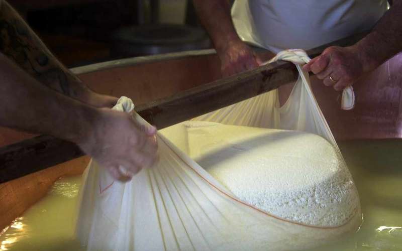 Parmigiano Reggiano tejüzemlátogatás Parma közelében ebéddel